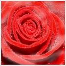 .........................................